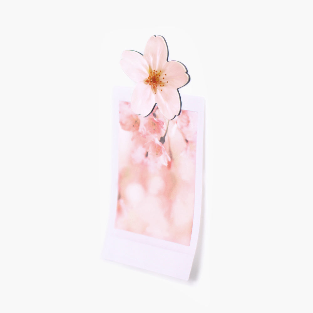 Appree Leaf Magnet - Cherry Blossom