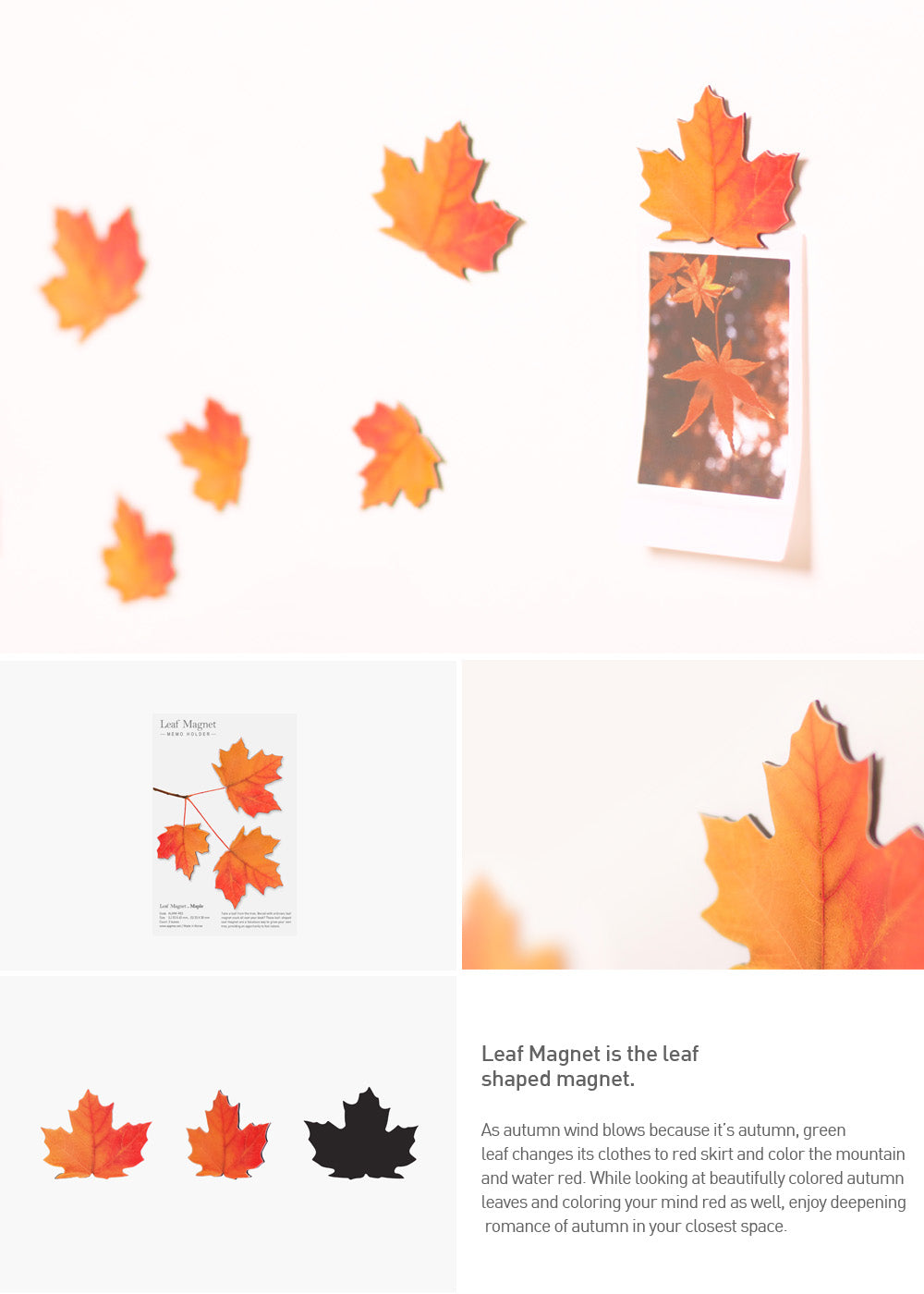 Appree Leaf Magnet - Maple