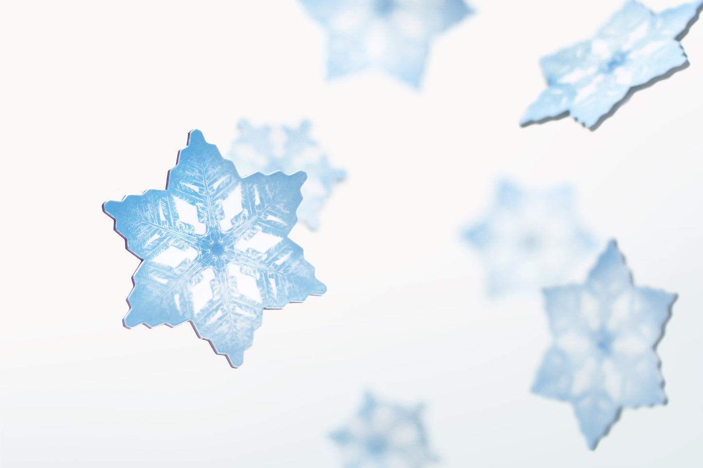 Appree Leaf Magnet - Snow Flower