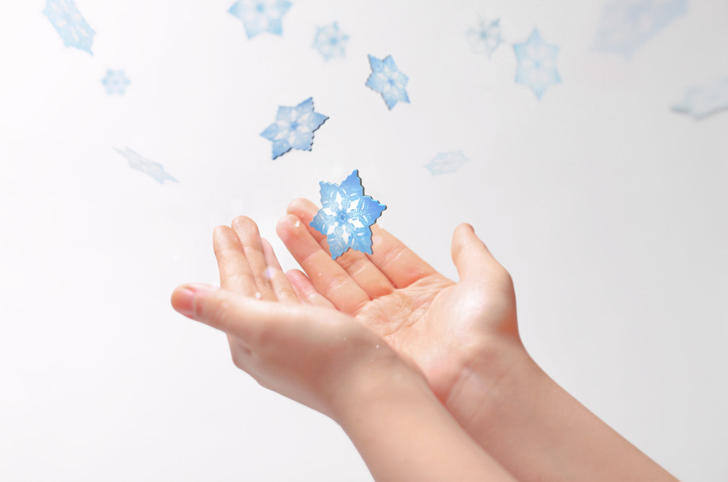 Appree Leaf Magnet - Snow Flower