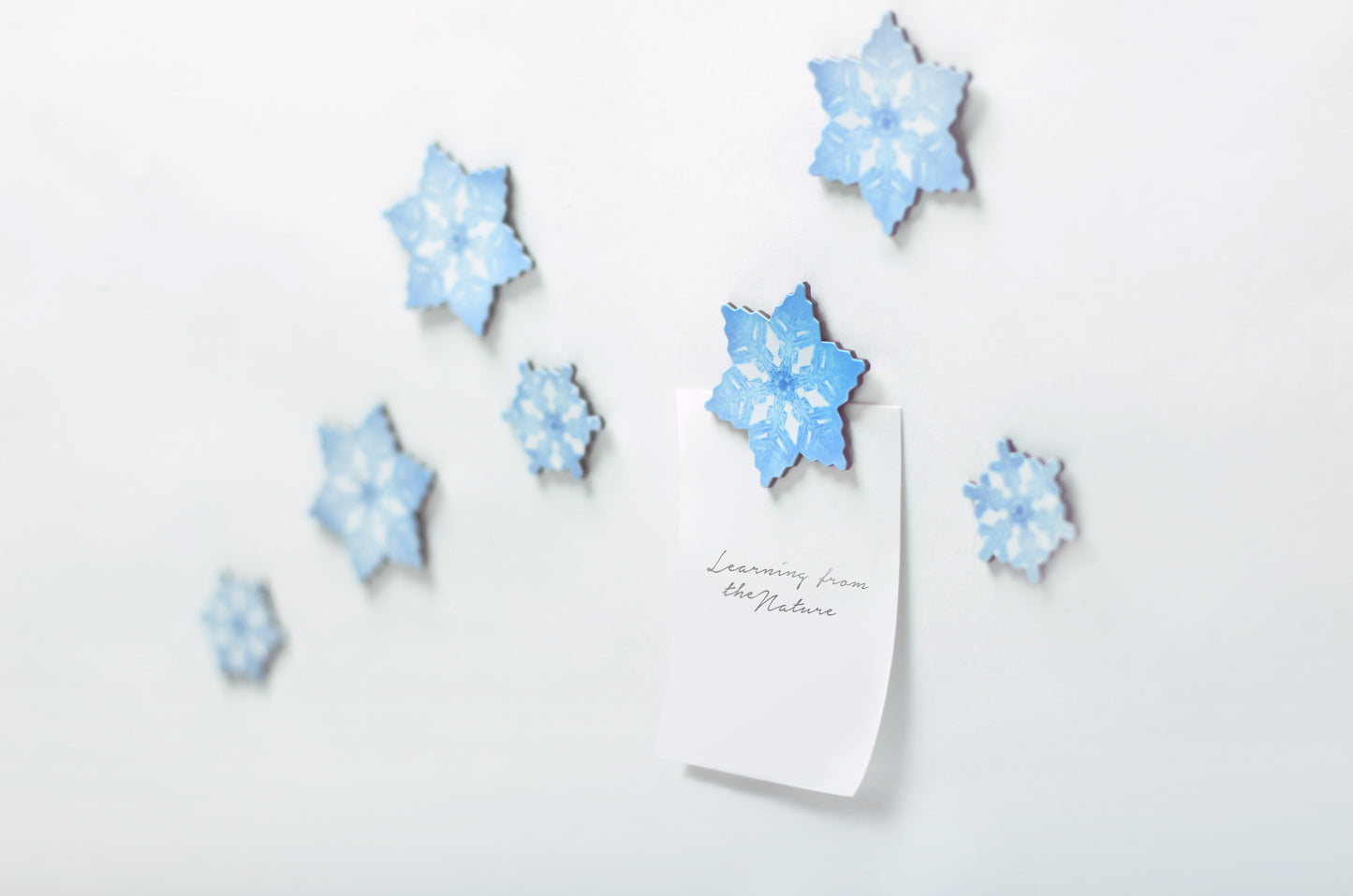 Appree Leaf Magnet - Snow Flower