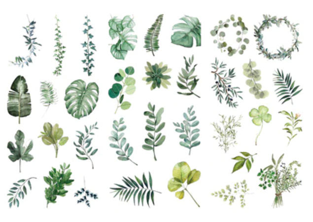 Scrapbooking Washi Stickers