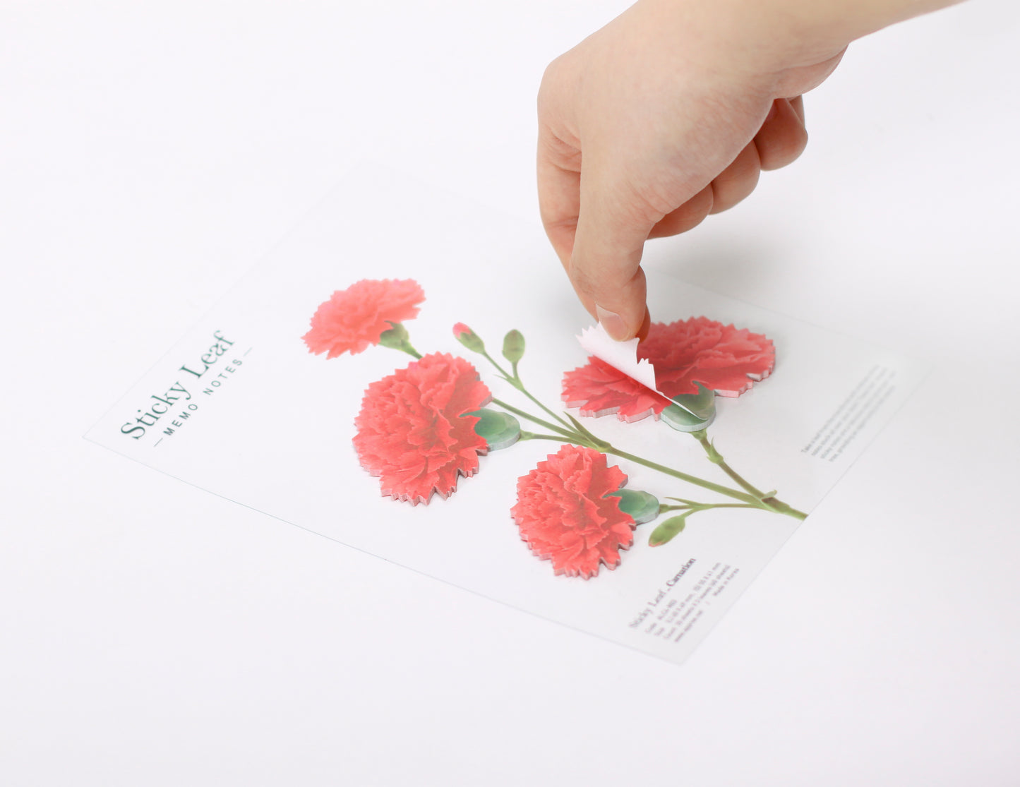 Appree Sticky Leaf Carnation