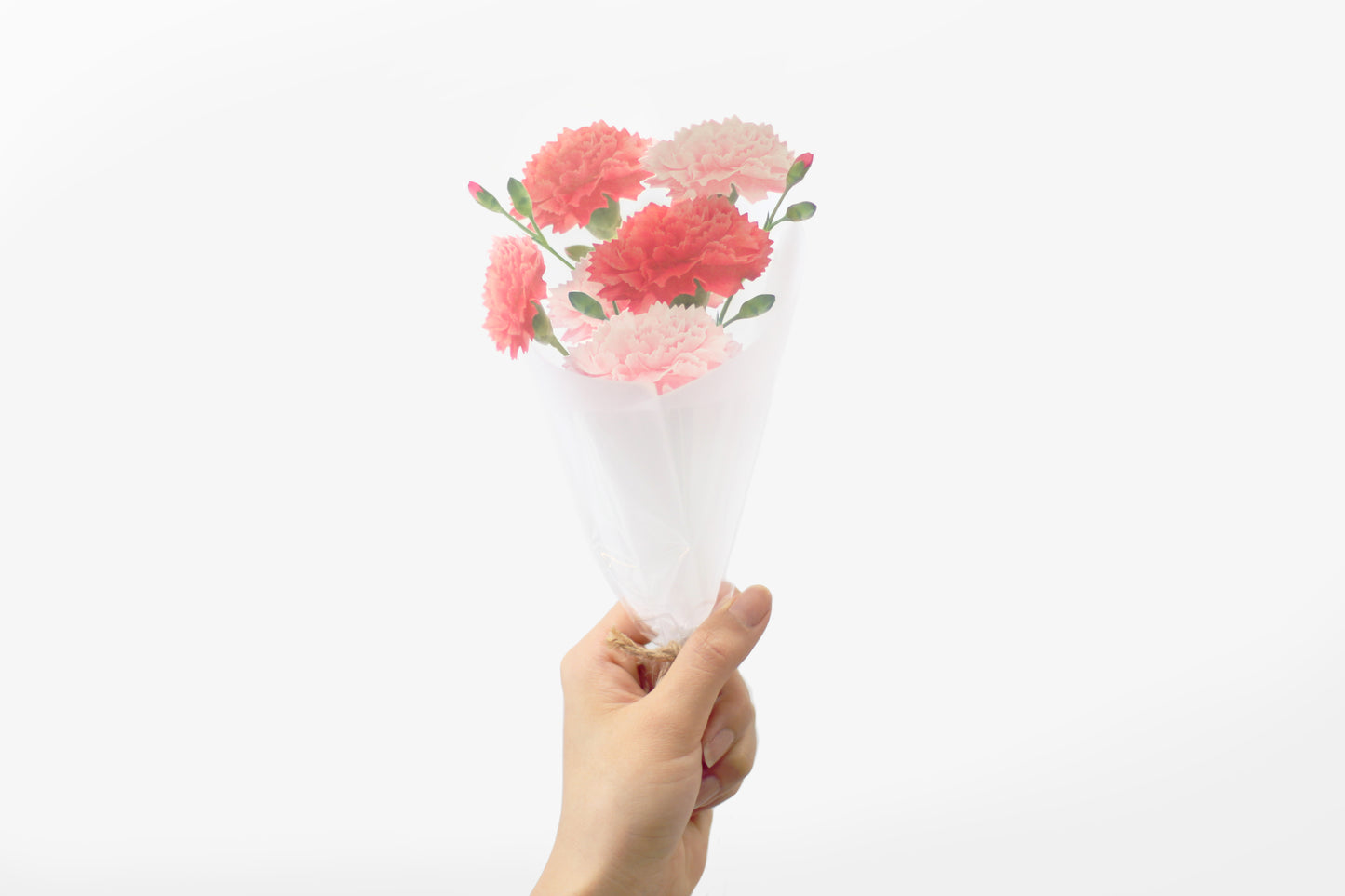 Appree Sticky Leaf Carnation