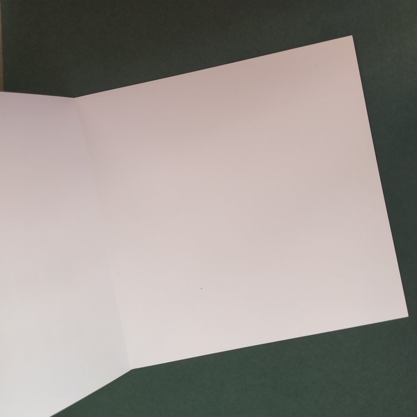 Birthday Greeting Card