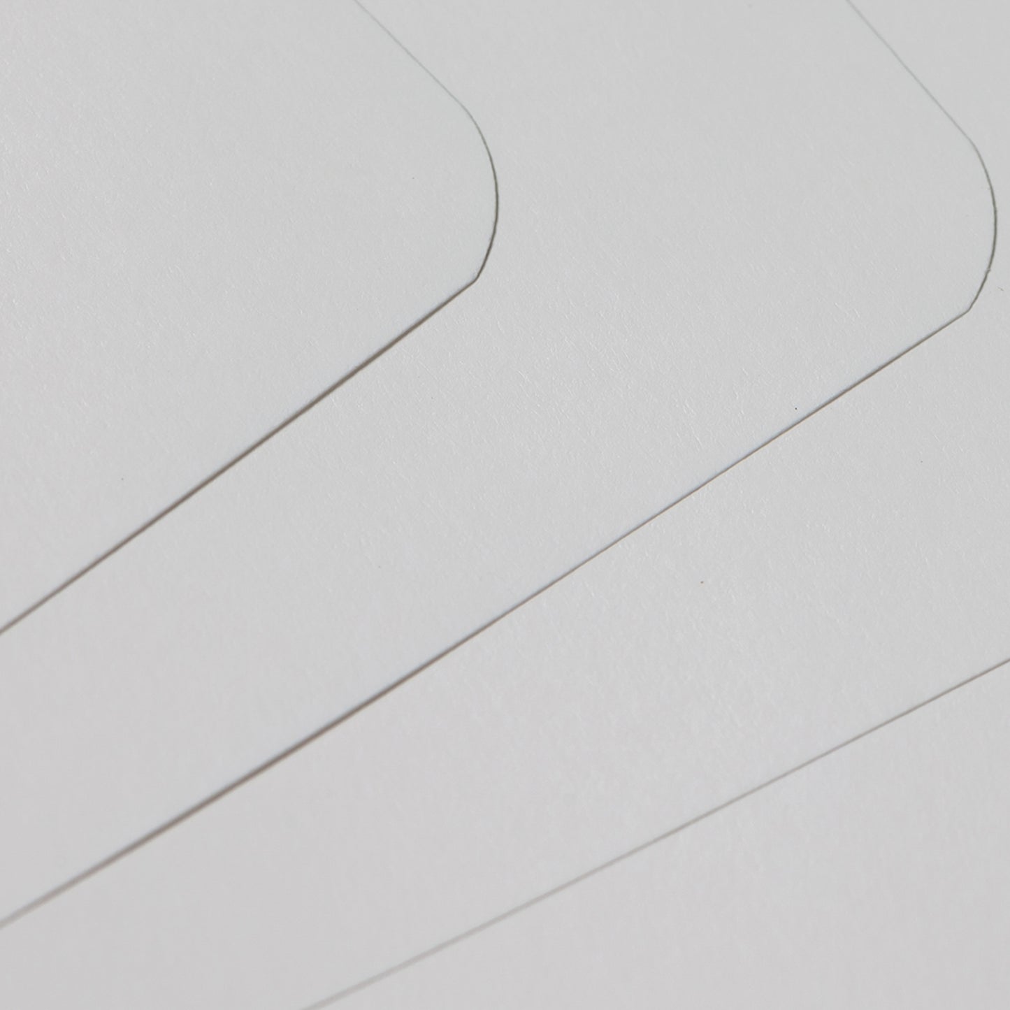 Recorder Notebook – Forest Canopy