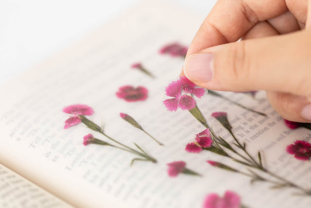 Appree Pressed flower sticker - China Pink
