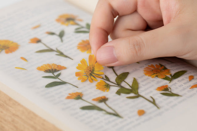 Appree Pressed flower sticker - Calendula