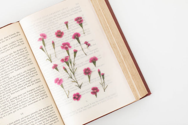 Appree Pressed flower sticker - China Pink