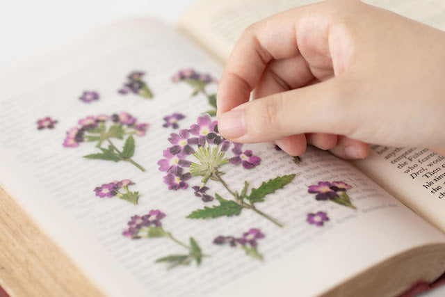 Appree Pressed flower sticker - Verbena