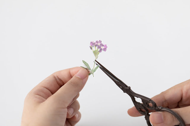Appree Pressed flower sticker - Verbena