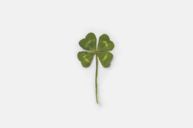 Appree Pressed flower sticker - Four Leaf Clover