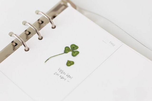Appree Pressed flower sticker - Four Leaf Clover