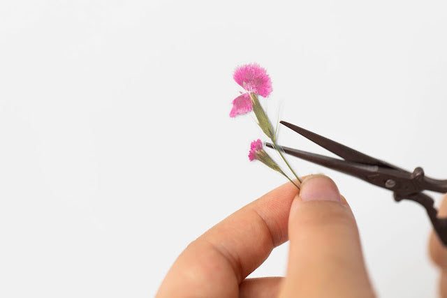 Appree Pressed flower sticker - China Pink