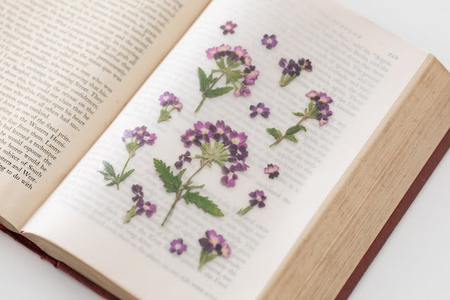 Appree Pressed flower sticker - Verbena