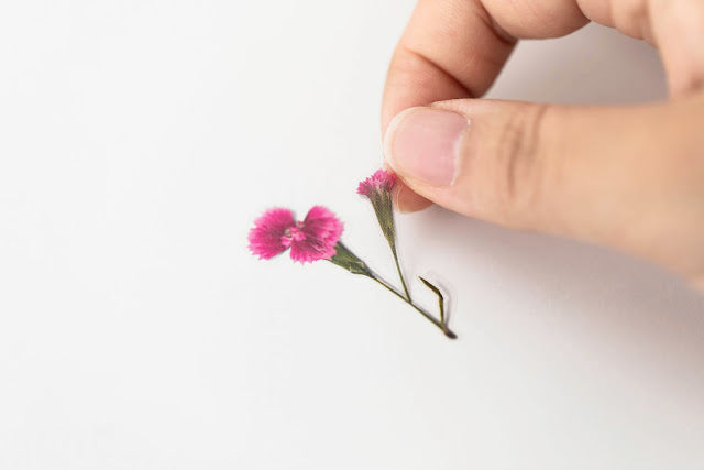 Appree Pressed flower sticker - China Pink