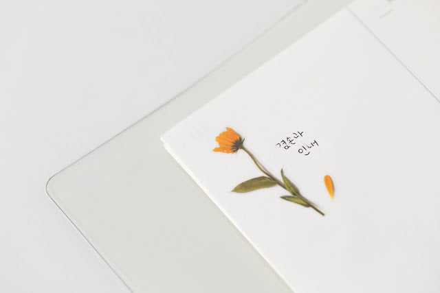 Appree Pressed flower sticker - Calendula