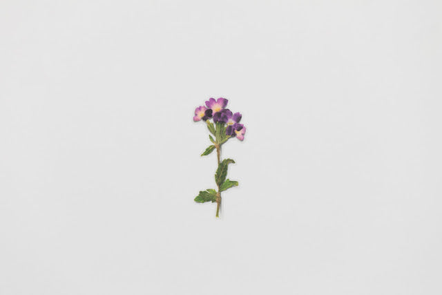 Appree Pressed flower sticker - Verbena