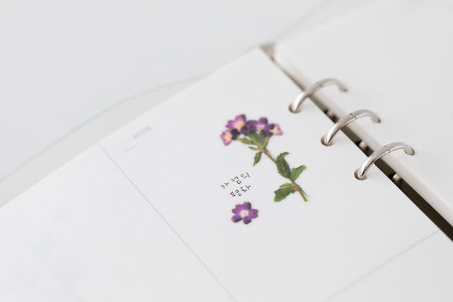 Appree Pressed flower sticker - Verbena