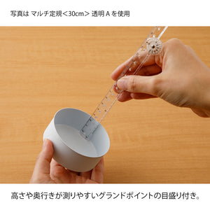 Midori Multi Ruler (30cm) Blue A