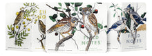 Load image into Gallery viewer, Field Notes: 3-Packs Birds and Trees of North America
