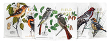 Load image into Gallery viewer, Field Notes: 3-Packs Birds and Trees of North America
