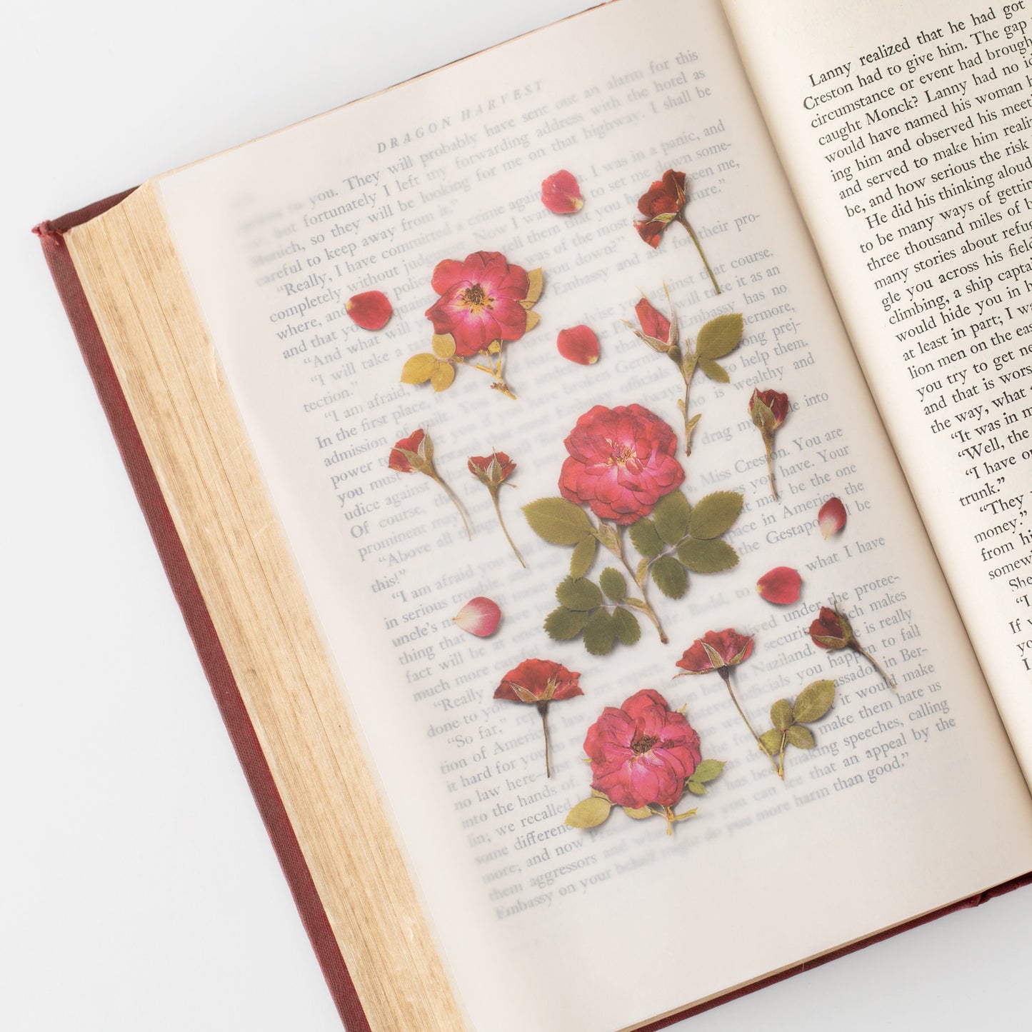 Appree Pressed flower sticker - Mini Rose