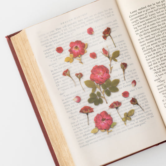 Appree Pressed flower sticker - Mini Rose