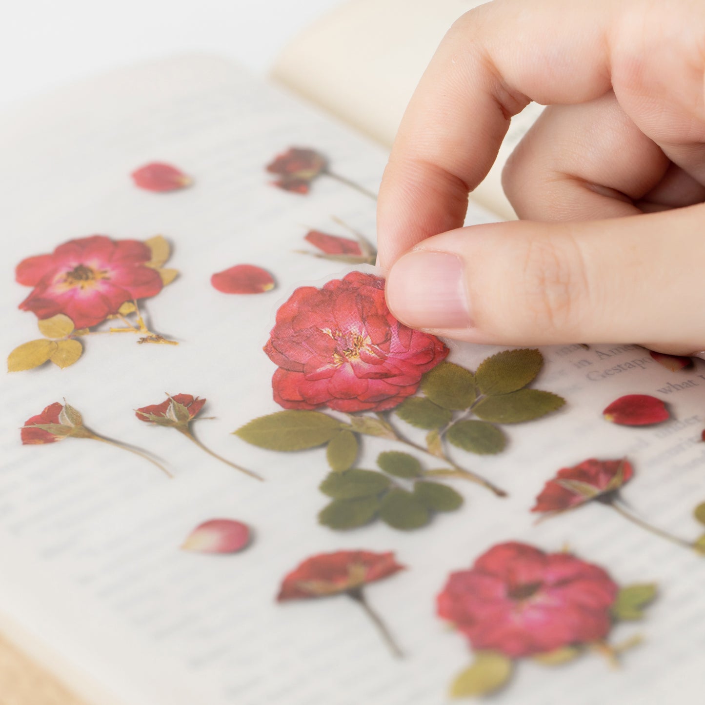 Appree Pressed flower sticker - Mini Rose