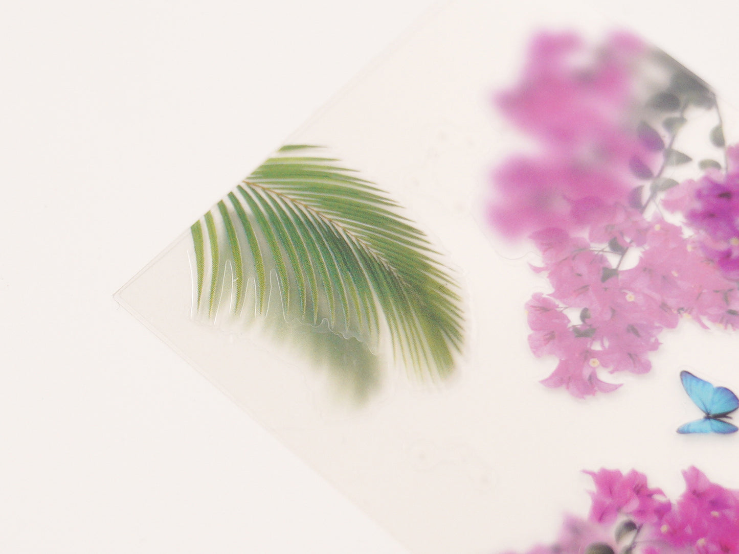 Appree Nature Scene Sticker - Tropical Day