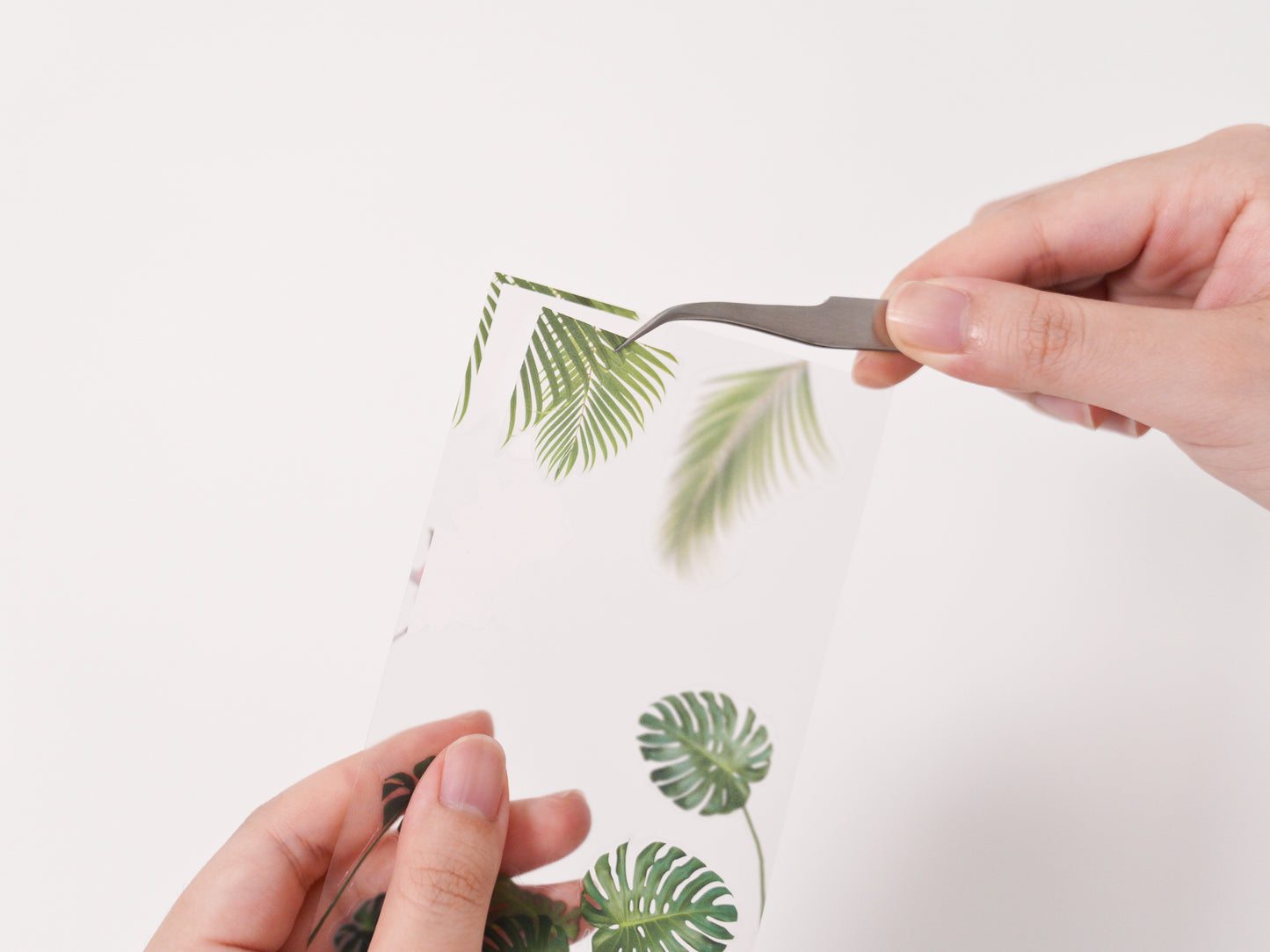 Appree Nature Scene Sticker - Tropical Day