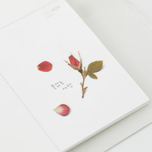 Appree Pressed flower sticker - Mini Rose