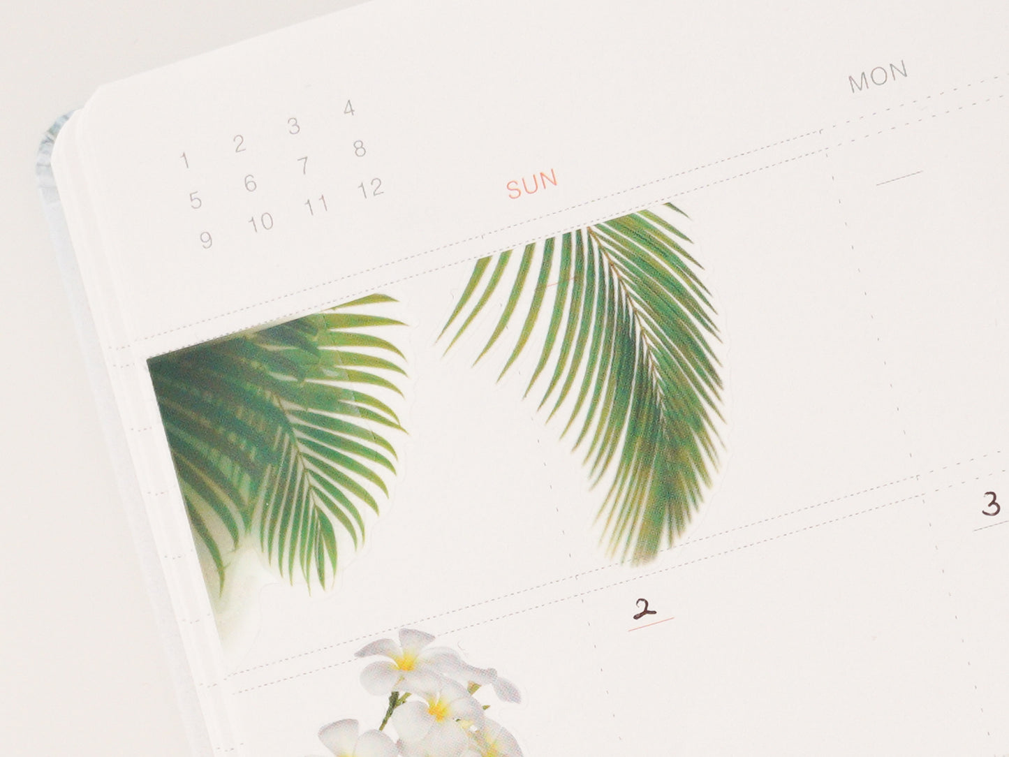 Appree Nature Scene Sticker - Tropical Day