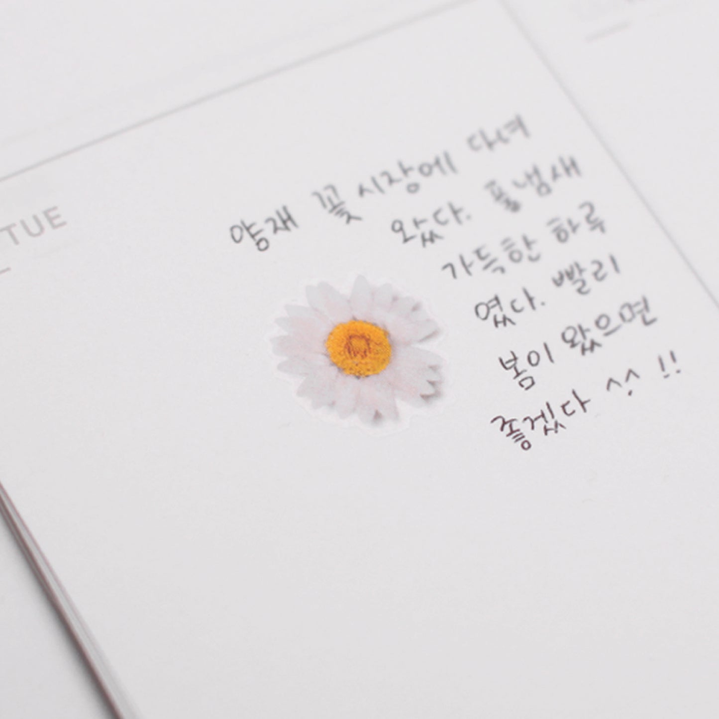 Appree Pressed flower sticker - Marguerite