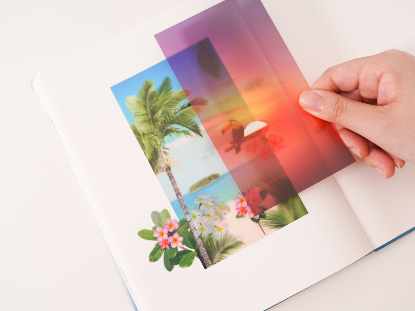 Appree Nature Scene Sticker - Tropical Day