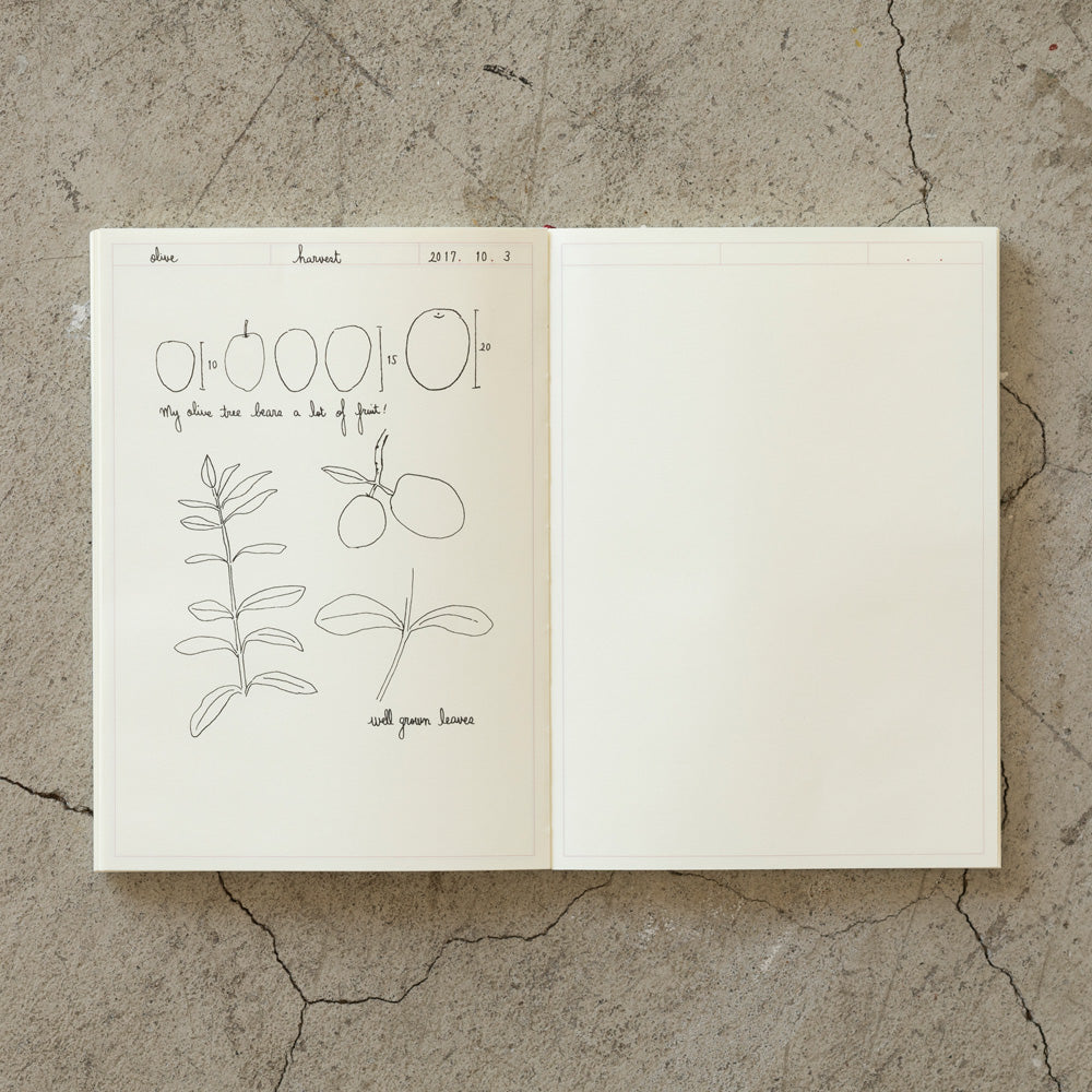 MD Notebook Journal (A5) Frame