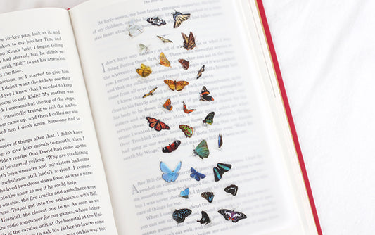Appree Nature Sticker - Butterfly