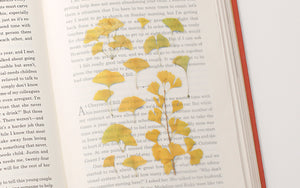 Appree Pressed flower sticker - Ginkgo