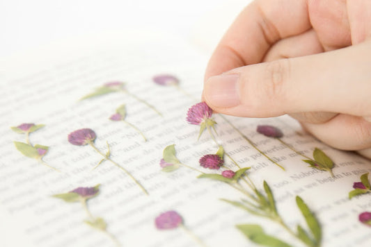 Appree Pressed flower sticker - Globe Amaranth