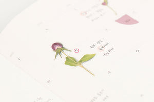 Appree Pressed flower sticker - Globe Amaranth