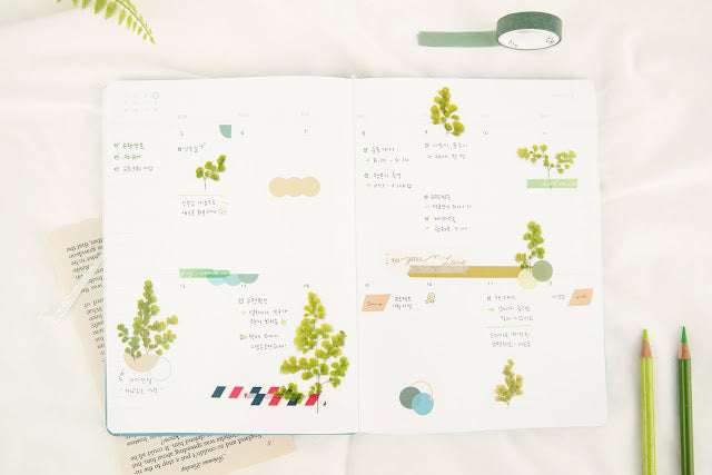 Appree Pressed flower sticker - Adiantum