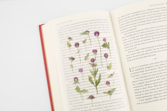 Appree Pressed flower sticker - Globe Amaranth