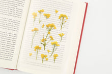 Load image into Gallery viewer, Appree Pressed flower sticker - Rapeseed Flower
