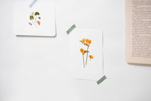 Load image into Gallery viewer, Appree Pressed flower sticker - Four Leaf Clover
