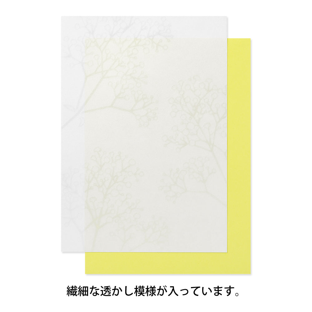 Letter Pad (A5) Watermark Gypsophila / Baby’s Breath