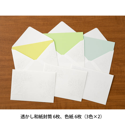 Envelope (162×114mm) Watermark Gypsophila / Baby’s Breath