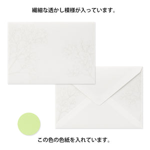 Envelope (162×114mm) Watermark Gypsophila / Baby’s Breath