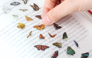 Appree Nature Sticker - Butterfly