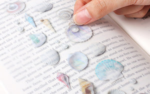 Appree Nature Sticker - Sea Shell