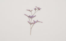 Load image into Gallery viewer, Appree Pressed flower sticker - Misty Blue
